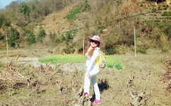 年轻漂亮老师高清线